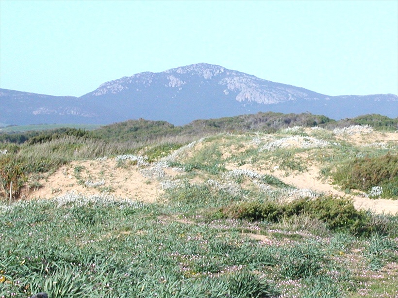 Sardegna Nord -Occidentale: Porto Ferrio